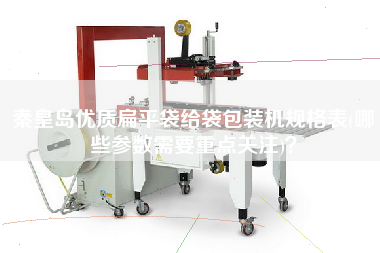 秦皇岛优质扁平袋给袋包装机规格表(哪些参数需要重点关注)？