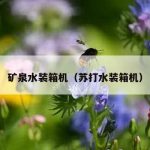 矿泉水装箱机（苏打水装箱机）