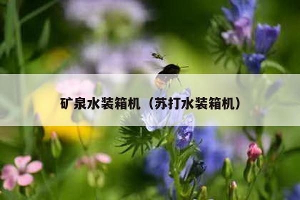 矿泉水装箱机（苏打水装箱机）