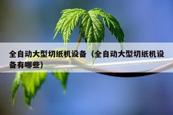 全自动大型切纸机设备（全自动大型切纸机设备有哪些）