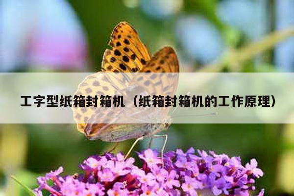 工字型纸箱封箱机（纸箱封箱机的工作原理）