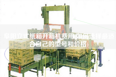 阜阳立式纸箱开箱机费用(如何选择更适合自己的型号和价格)