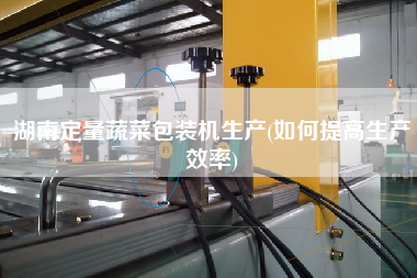 湖南定量蔬菜包装机生产(如何提高生产效率)