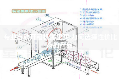 专业自动开箱机哪里买(如何选择性价比高的产品)