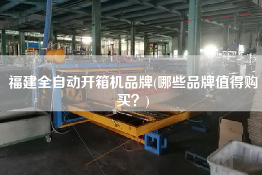 福建全自动开箱机品牌(哪些品牌值得购买)