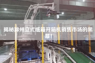 揭秘滁州立式纸箱开箱机销售市场的黑幕！