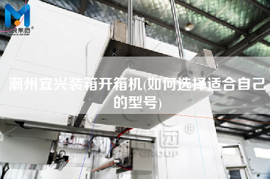 潮州宜兴装箱开箱机(如何选择适合自己的型号)