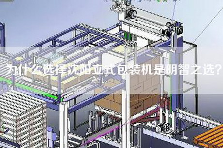 为什么选择沈阳立式包装机是明智之选？
