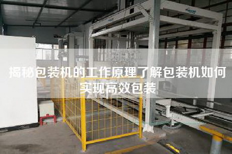 揭秘包装机的工作原理了解包装机如何实现高效包装