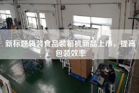 新标题袋装食品装箱机新品上市，提高包装效率