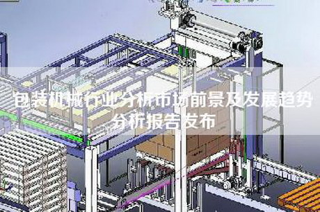 包装机械行业分析市场前景及发展趋势分析报告发布