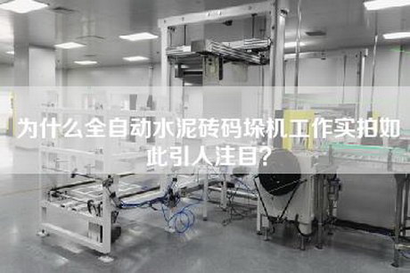 为什么全自动水泥砖码垛机工作实拍如此引人注目？