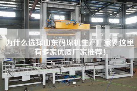 为什么选择山东码垛机生产厂家？这里有多家优质厂家推荐！