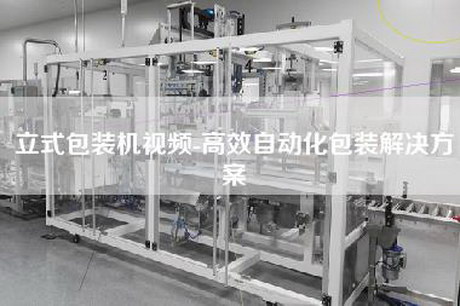 立式包装机视频-高效自动化包装解决方案