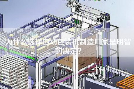为什么选择自动包装机制造厂家是明智的决定？