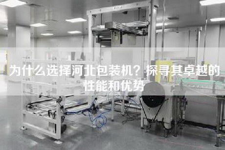 为什么选择河北包装机？探寻其卓越的性能和优势