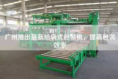 广州推出最新给袋式包装机，提高包装效率