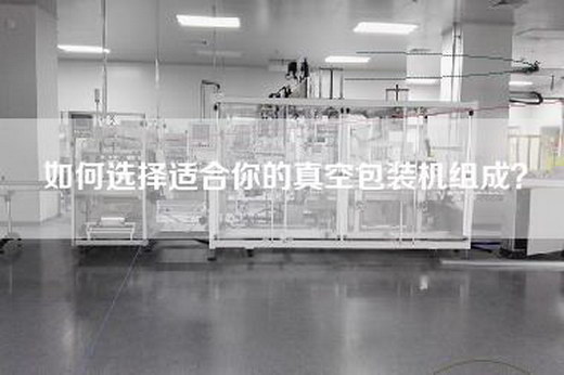 如何选择适合你的真空包装机组成？