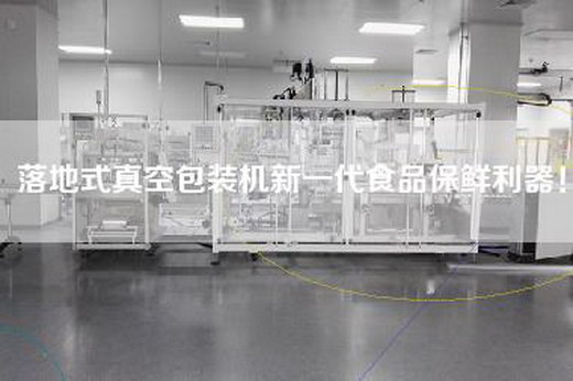 落地式真空包装机新一代食品保鲜利器！