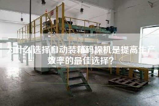 为什么选择自动装箱码垛机是提高生产效率的最佳选择？