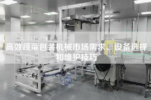 高效蔬菜包装机械市场需求、设备选择和维护技巧