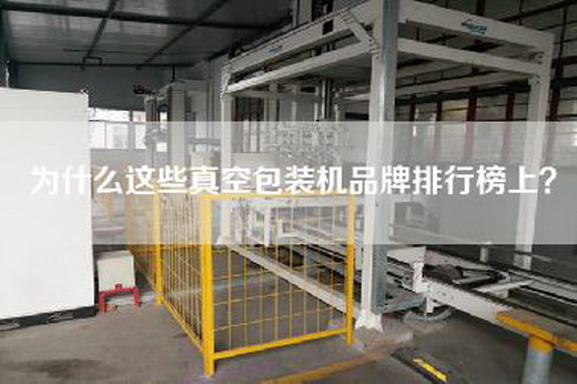 为什么这些真空包装机品牌排行榜上？