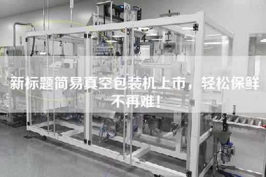 新标题简易真空包装机上市，轻松保鲜不再难！