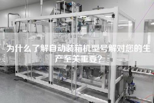 为什么了解自动装箱机型号解对您的生产至关重要？