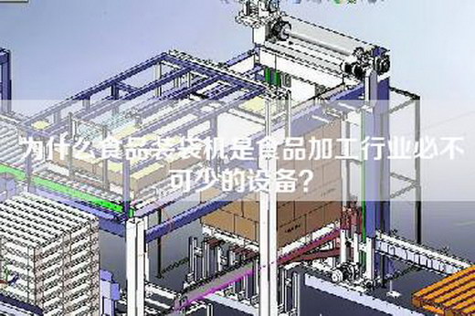 为什么食品装袋机是食品加工行业必不可少的设备？