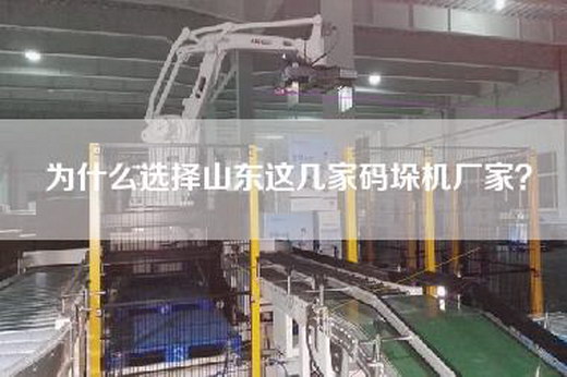 为什么选择山东这几家码垛机厂家？