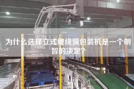 为什么选择立式缠绕膜包装机是一个明智的决定？
