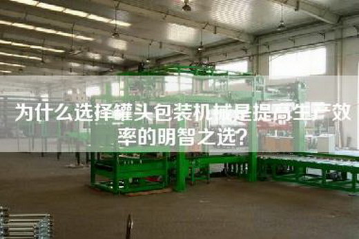 为什么选择罐头包装机械是提高生产效率的明智之选？