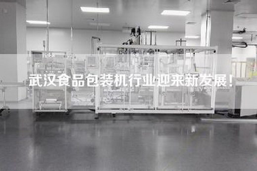 武汉食品包装机行业迎来新发展！