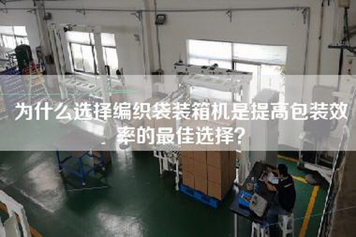 为什么选择编织袋装箱机是提高包装效率的最佳选择？