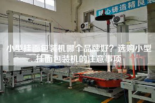 小型挂面包装机哪个品牌好？选购小型挂面包装机的注意事项