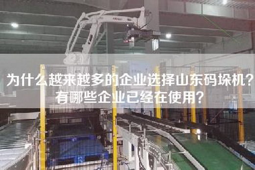 为什么越来越多的企业选择山东码垛机？有哪些企业已经在使用？