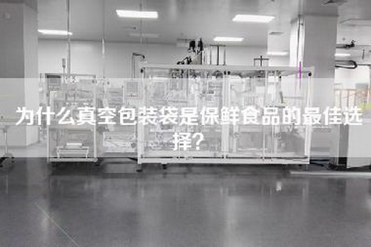 为什么真空包装袋是保鲜食品的最佳选择？