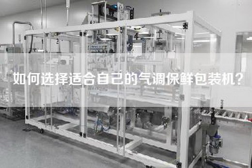如何选择适合自己的气调保鲜包装机？