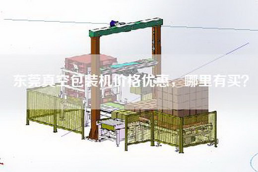 东莞真空包装机价格优惠，哪里有买？