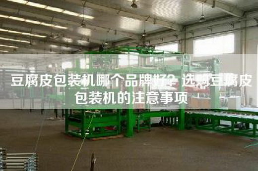 豆腐皮包装机哪个品牌好？选购豆腐皮包装机的注意事项