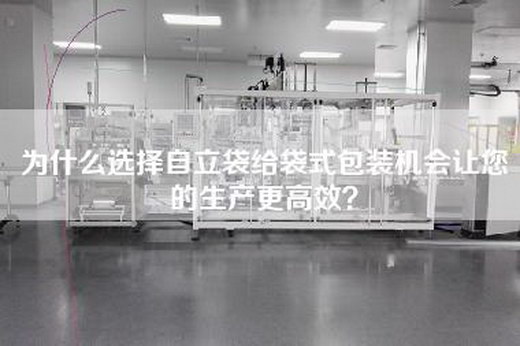 为什么选择自立袋给袋式包装机会让您的生产更高效？