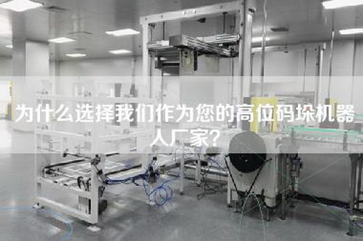 为什么选择我们作为您的高位码垛机器人厂家？