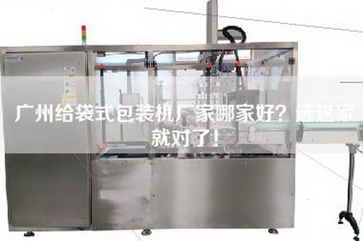 广州给袋式包装机厂家哪家好？选这家就对了！