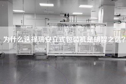 为什么选择瑞安立式包装机是明智之选？