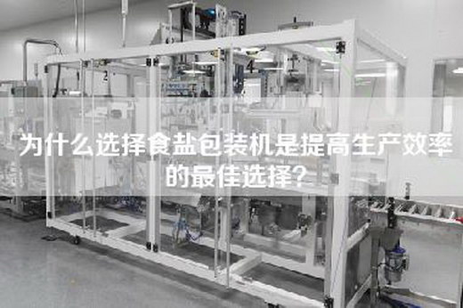 为什么选择食盐包装机是提高生产效率的最佳选择？