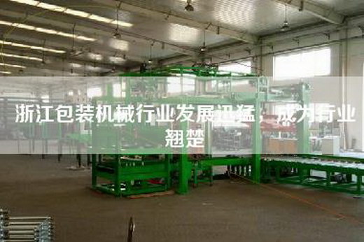 浙江包装机械行业发展迅猛，成为行业翘楚