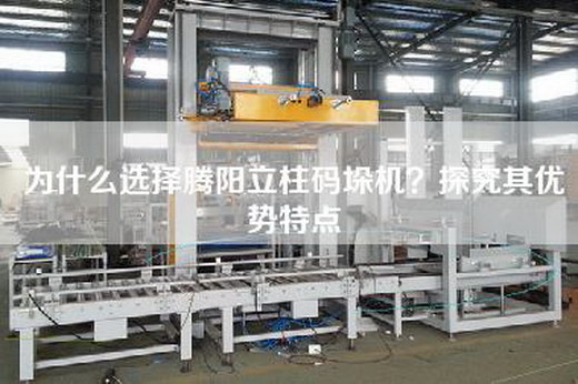为什么选择腾阳立柱码垛机？探究其优势特点