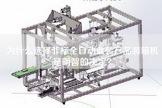 为什么选择非标全自动盒装产品装箱机是明智的决定？