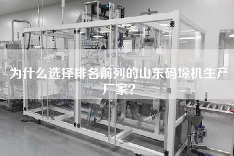 为什么选择排名前列的山东码垛机生产厂家？