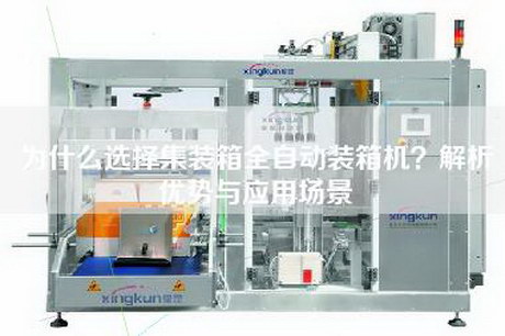 为什么选择集装箱全自动装箱机？解析优势与应用场景